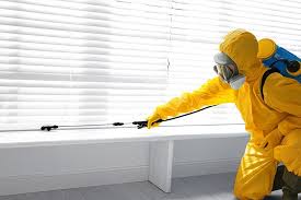 Best Termite Inspection and Treatment  in Sughter, LA